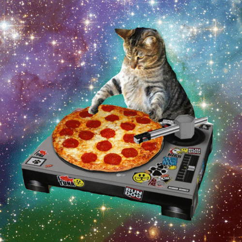 DJ Cat mit Pizza